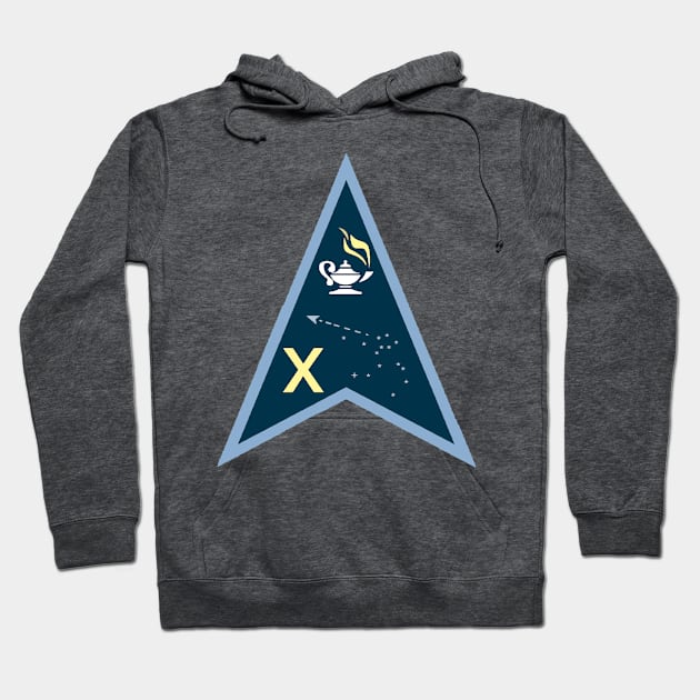 Space Force Delta 10 Logo Hoodie by Spacestuffplus